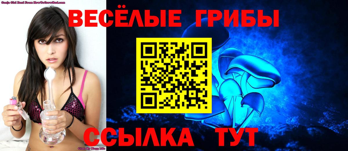 Бахчисарай  как найти   Вход с VPN  Псилоцибиновые грибы Psilocybe 